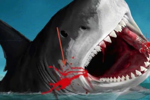 آموزش طراحی صحنه شکار کوسه در فتوشاپ